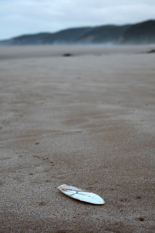 Australia, january 2015