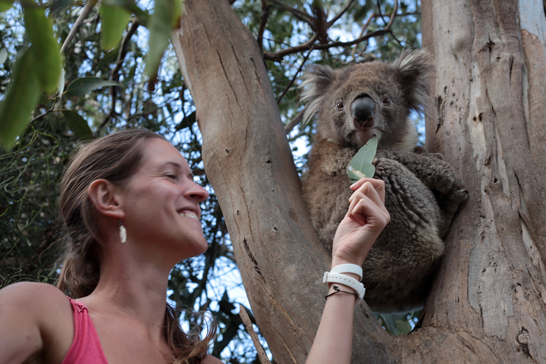 Australia, january 2015