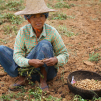 Myanmar, october 2018