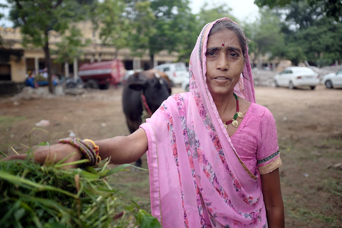 India, august 2019
