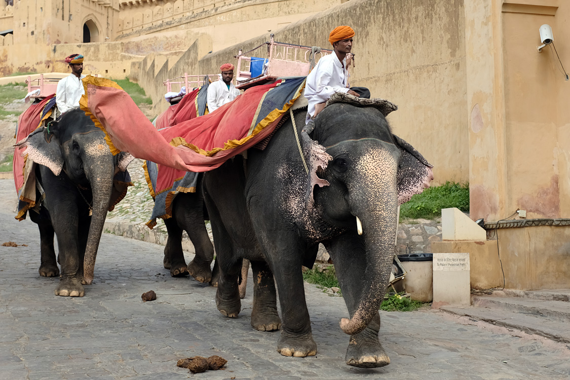 India, august 2019