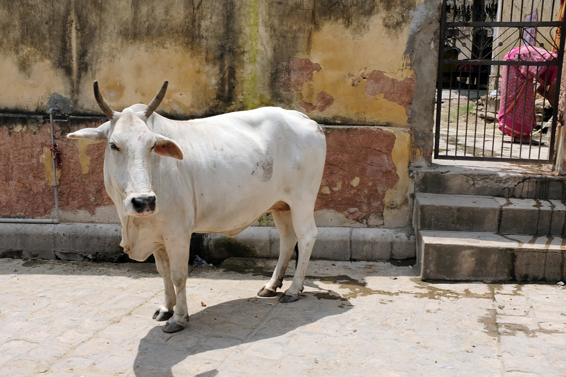 India, august 2019