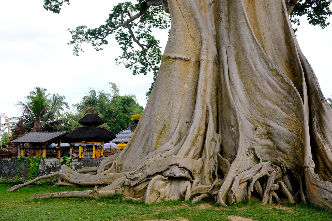 Indonesia, june 2022
