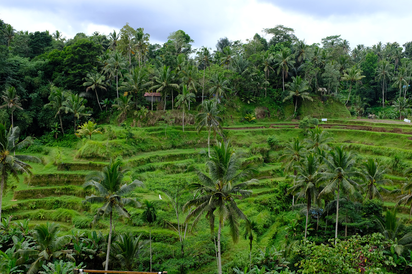 Indonesia, june 2022