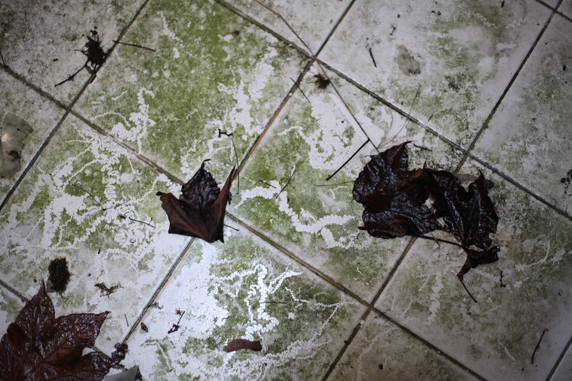 Domaine de Montcel, nov. 2013