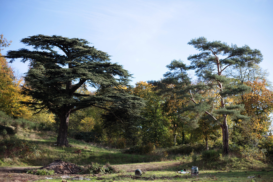 Domaine de Montcel, nov. 2013