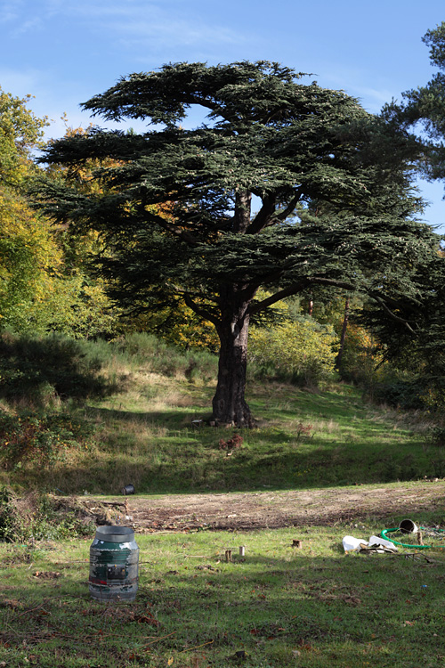 Domaine de Montcel, nov. 2013